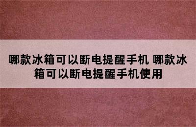 哪款冰箱可以断电提醒手机 哪款冰箱可以断电提醒手机使用